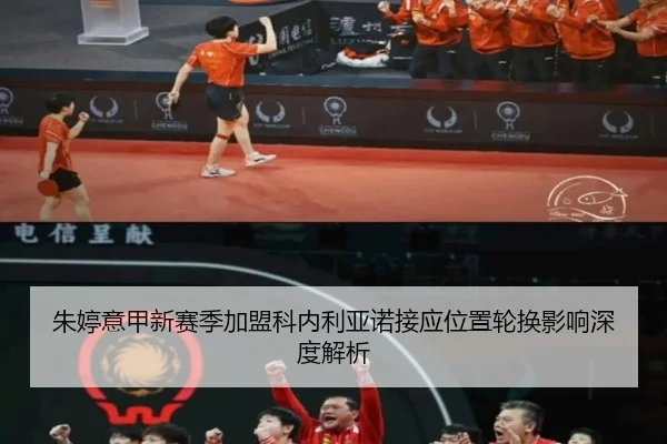 zhu-ting-yi-jia-xin-sai-ji-jia-meng-ke-nei-li-ya-nuo-jie-ying-wei-zhi-lun-huan-ying-xiang-shen-du-jie-xi-2-149.jpg